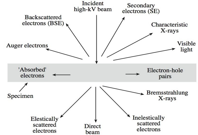 File:Signals.jpg