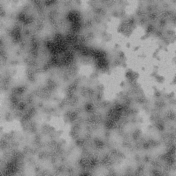 File:I3 M6 scan 001.jpg